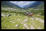 Pirin - Tevno - Demianitsa -06-07-2015 - Bogdan Balaban